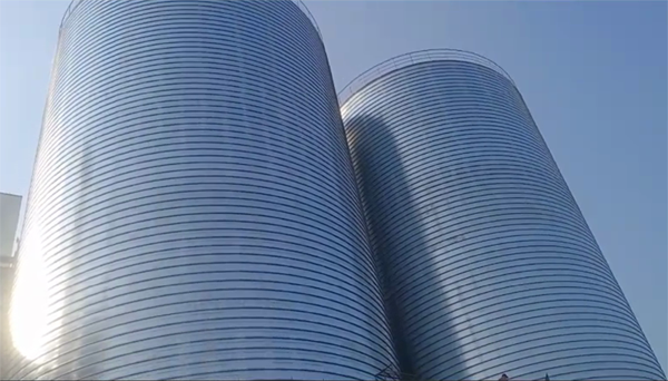 荔波2座混凝土高架卷板仓